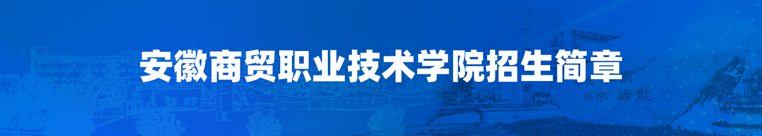 安徽商贸职业技术学院招生简章